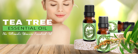 Tea Tree Essential Oil