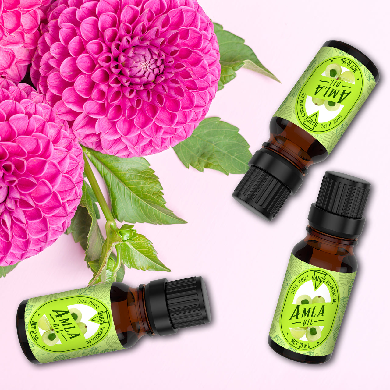 Amla Carrier Oil