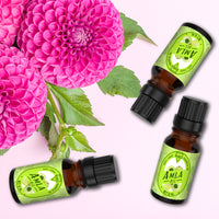 Amla Carrier Oil