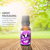 ONE NIGHT STAND Fragrance Oil
