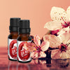 LICK ME ALL OVER Fragrance Oil